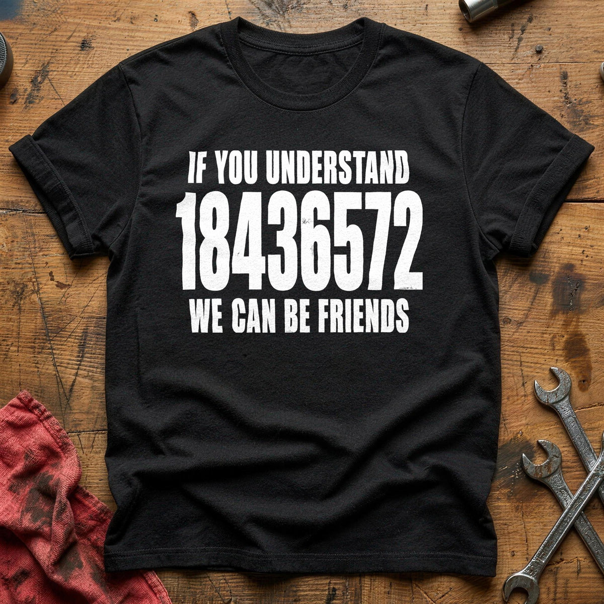 If You Understand 18436572 We Can Be Friends 44 T-Shirt - Black