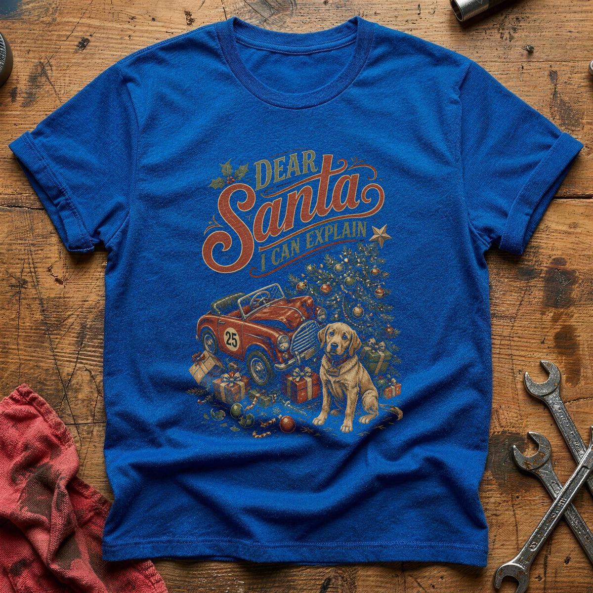Dear Santa I Can Explain 48 T-Shirt - Royal