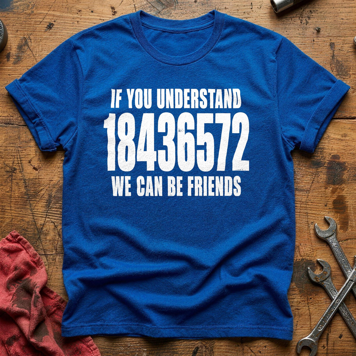 If You Understand 18436572 We Can Be Friends 44 T-Shirt - Royal